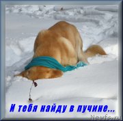 Превью фото № 175754