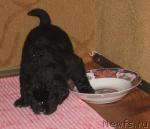 Превью фото № 17579