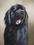 Превью фото № 175794