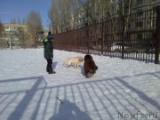 Превью фото № 175806