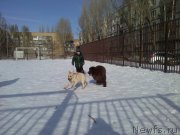 Превью фото № 175808