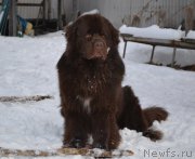 Превью фото № 175819