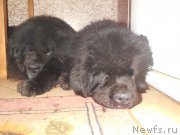 Превью фото № 175881