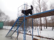 Превью фото № 175885