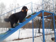 Превью фото № 175887