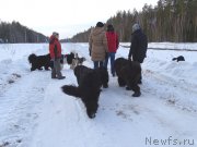 Превью фото № 175934