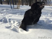 Превью фото № 175939