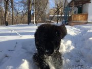 Превью фото № 175943