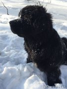 Превью фото № 175947