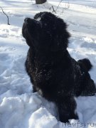 Превью фото № 175948