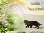 Превью фото № 175970