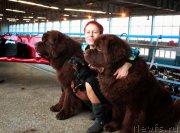 Превью фото № 175985