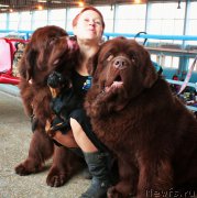 Превью фото № 175986