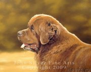 Превью фото № 175992