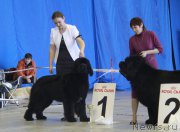 Превью фото № 175994