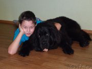 Превью фото № 176000