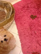 Превью фото № 176007