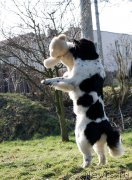 Превью фото № 176057