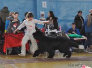 Превью фото № 176059