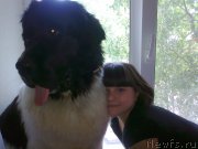 Превью фото № 176075