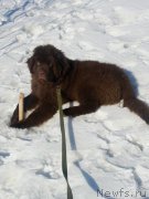 Превью фото № 176154