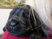 Превью фото № 176174