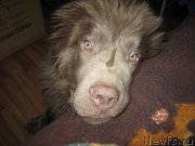 Превью фото № 176181