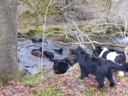 Превью фото № 176191