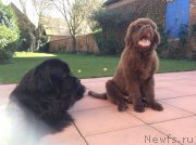 Превью фото № 176240