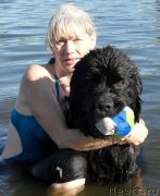 Превью фото № 176276