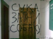 Превью фото № 176301