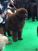 Превью фото № 176325