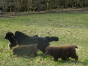 Превью фото № 176349