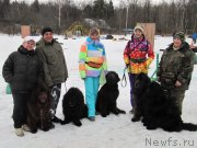 Превью фото № 176358