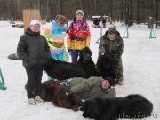 Превью фото № 176359