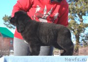 Превью фото № 176386