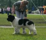 Превью фото № 17639