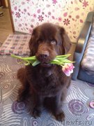 Превью фото № 176398