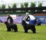 Превью фото № 17648