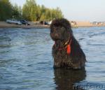 Превью фото № 17654