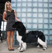 Превью фото № 176603