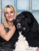 Превью фото № 176615