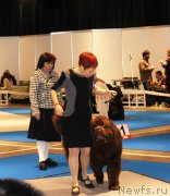 Превью фото № 176730