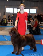 Превью фото № 176731