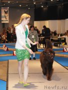 Превью фото № 176735