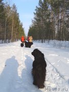 Превью фото № 176834