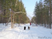 Превью фото № 176836