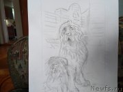 Превью фото № 176837