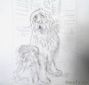 Превью фото № 176839