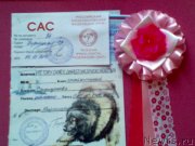 Превью фото № 176890